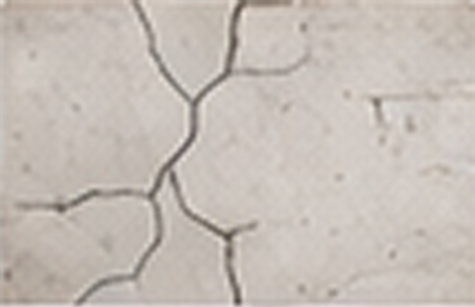 Warning Sign: Cracks in Walls