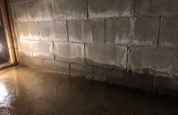 Water in Basement or Crawlspace